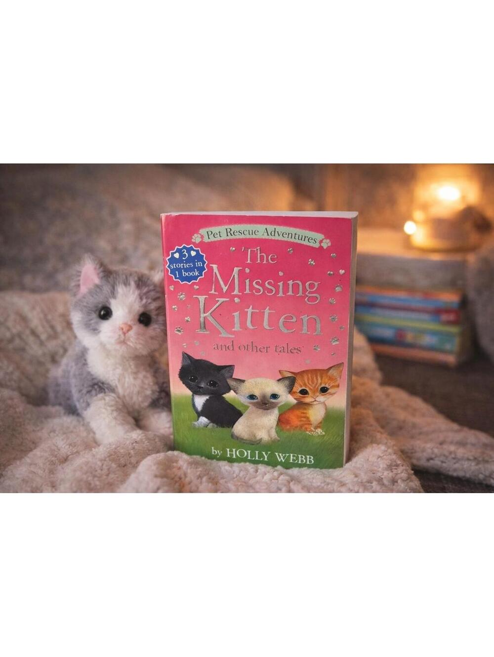 The Missing Kitten Book Holly Webb Pet Rescue Adventures Kids Chapter Book Anima